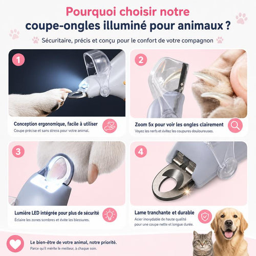 Coupez les griffes en toute précision, même dans la pénombre 💡