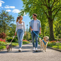 Des balades en toute sécurité, quel que soit son gabarit 🐾