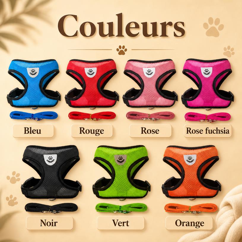 Des balades en toute sécurité, quel que soit son gabarit 🐾
