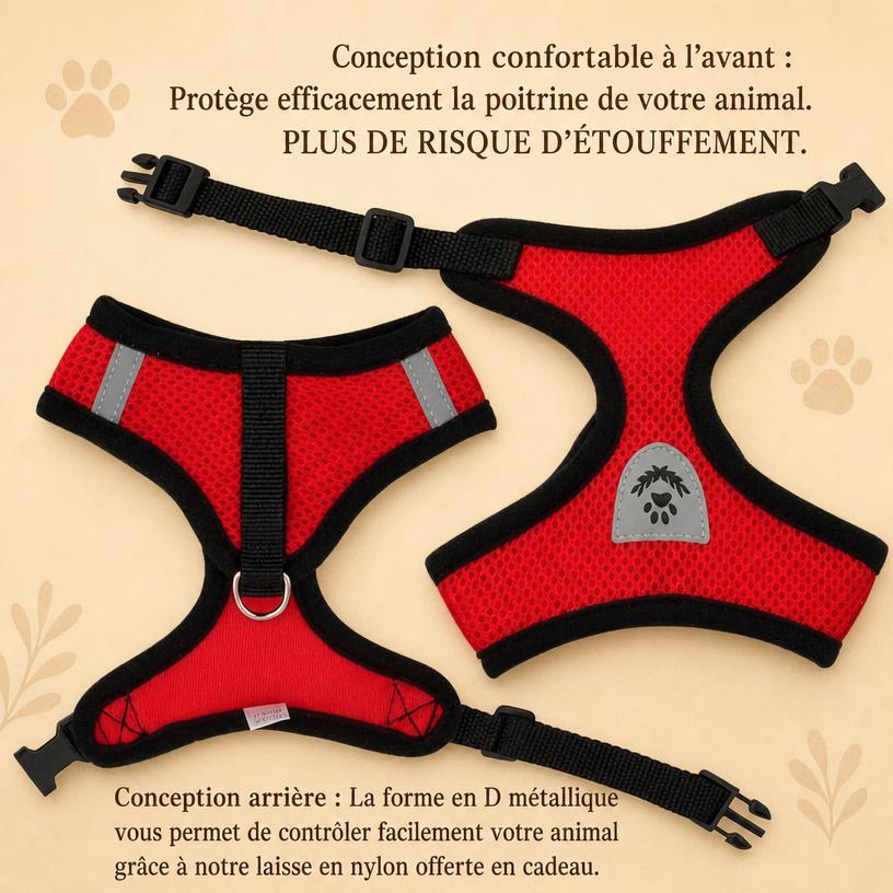 Des balades en toute sécurité, quel que soit son gabarit 🐾