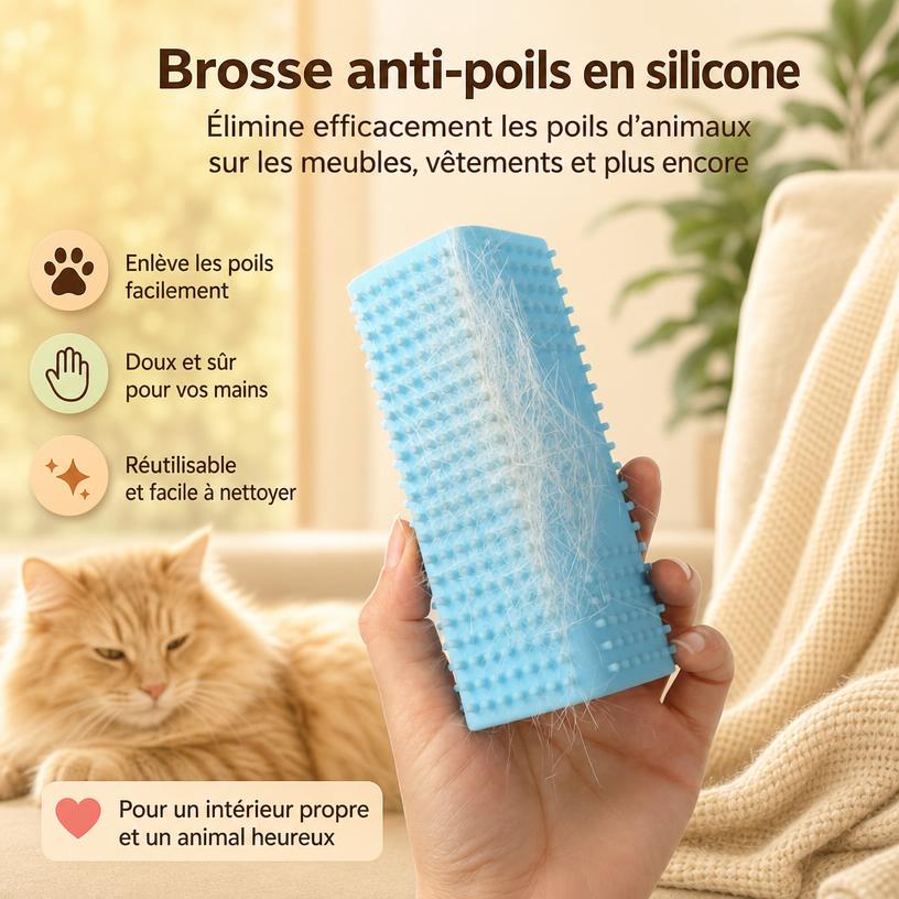 Dites adieu aux poils partout ! 🐈