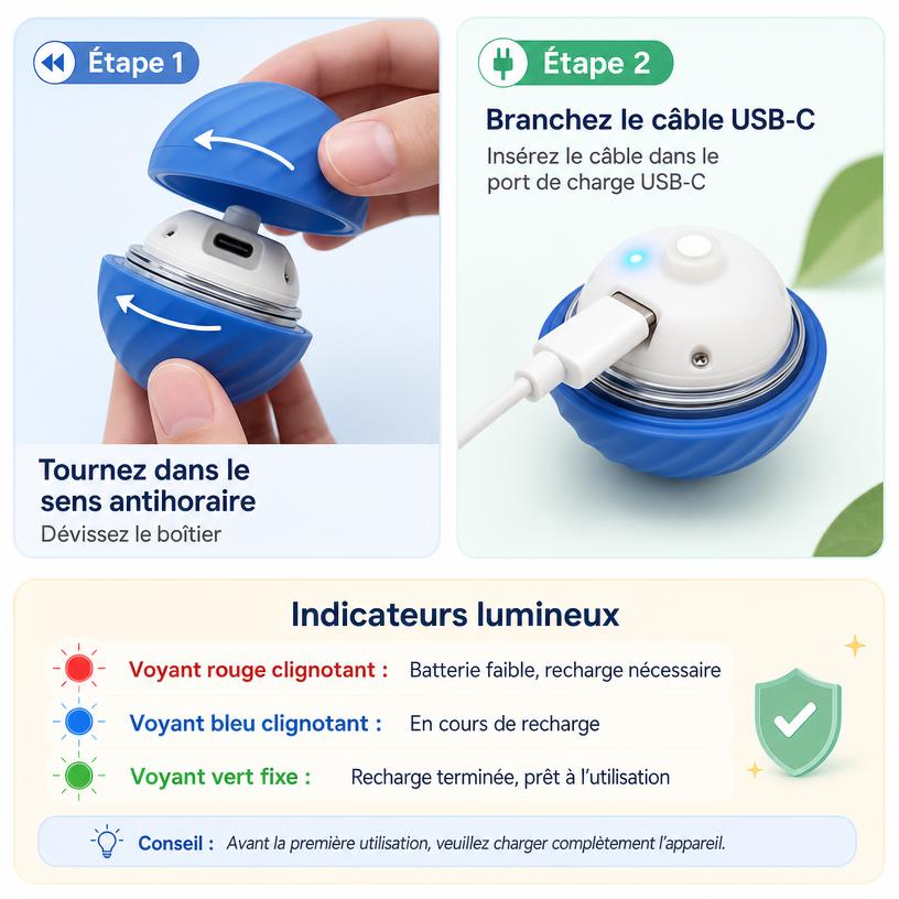 Votre animal joue, même quand vous êtes occupé 🎾