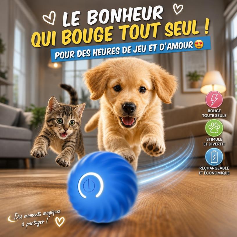 Pack Aventure Canine — Sécurité, Style & Jeu 🐾