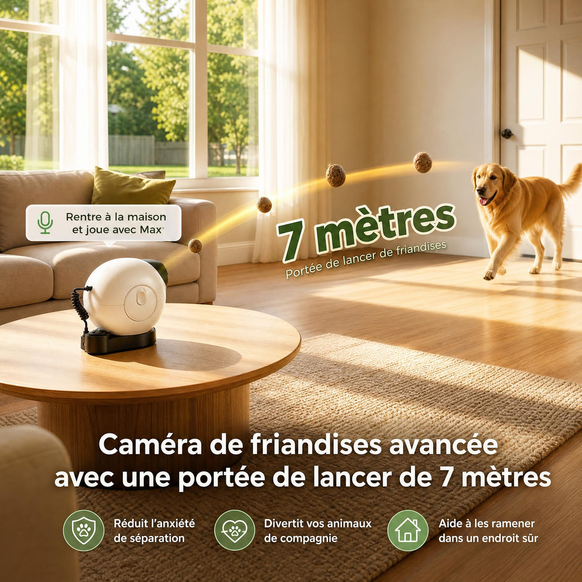 Pack Aventure Canine — Sécurité, Style & Jeu 🐾