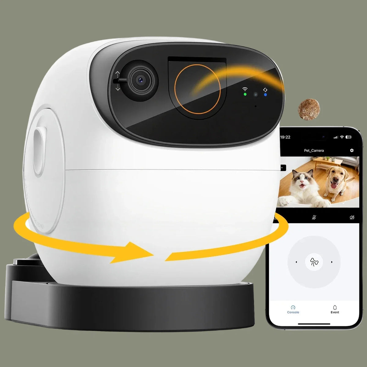 Pack Chat Zen — Griffes, Jeu & Toilettage sans stress 🐱
